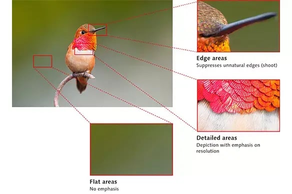 AW-UE160 uses next generation image processing engine from LUMIX GH6