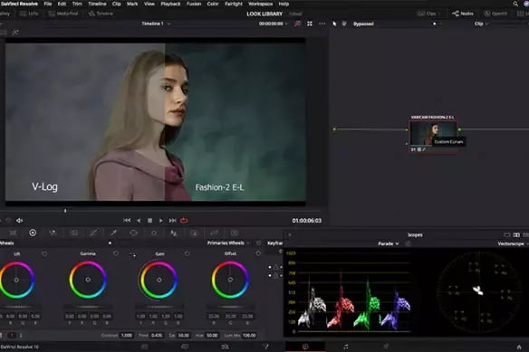 davinici_resolve_v-log_lut_custom_curvers_color_grading_example_for_varicam_lut_library