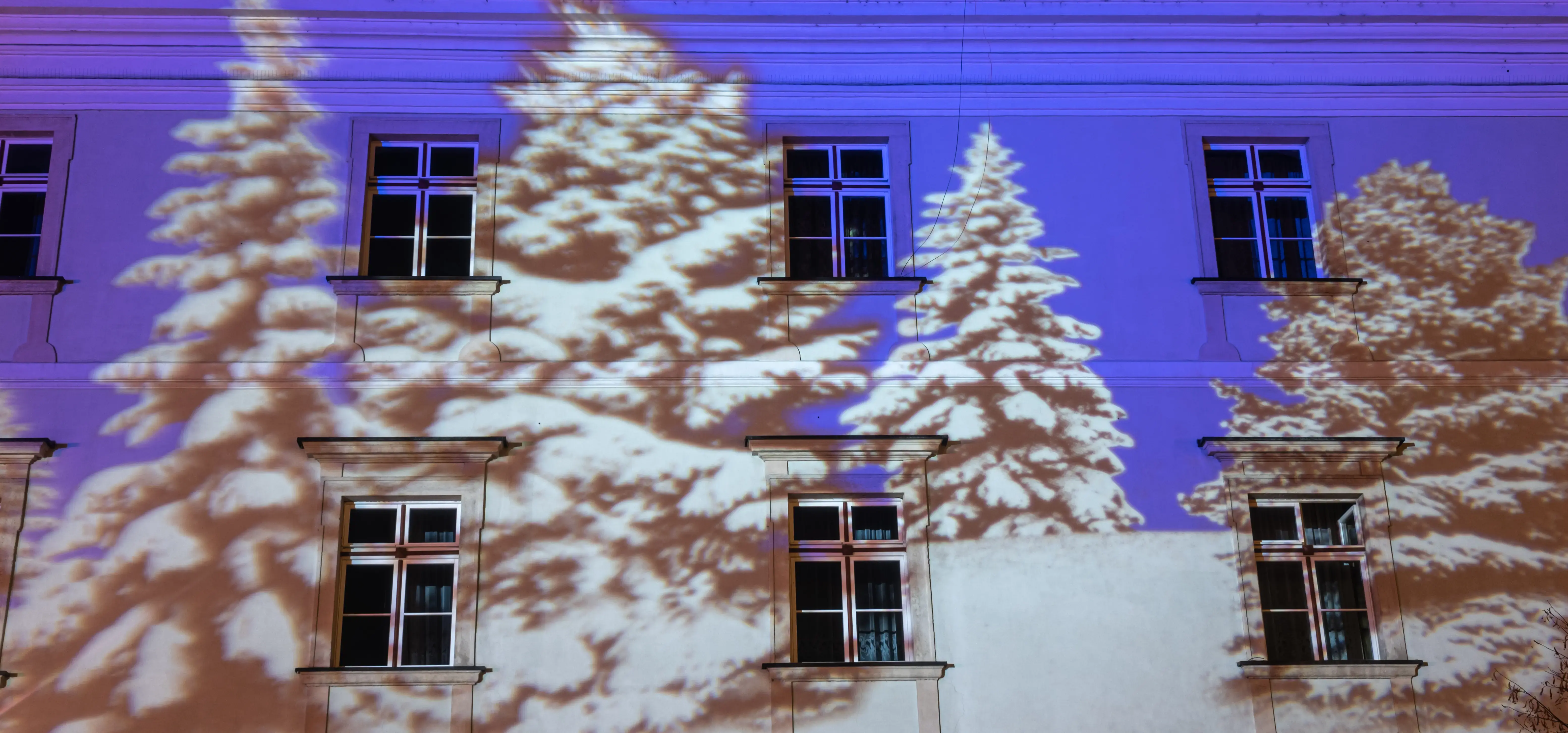 Christmas video projection