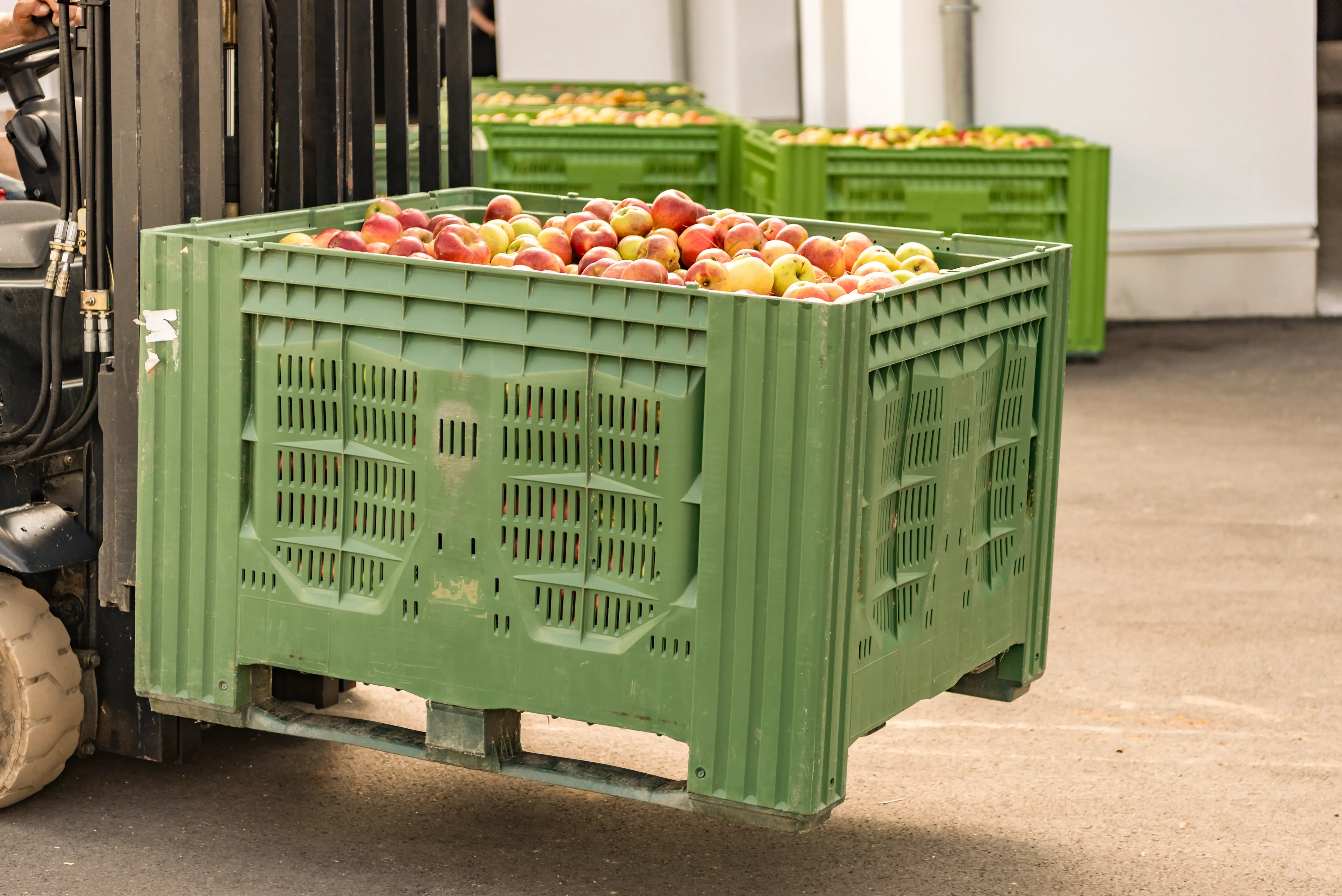 Forklift carries crates of fruit. Many apples in container