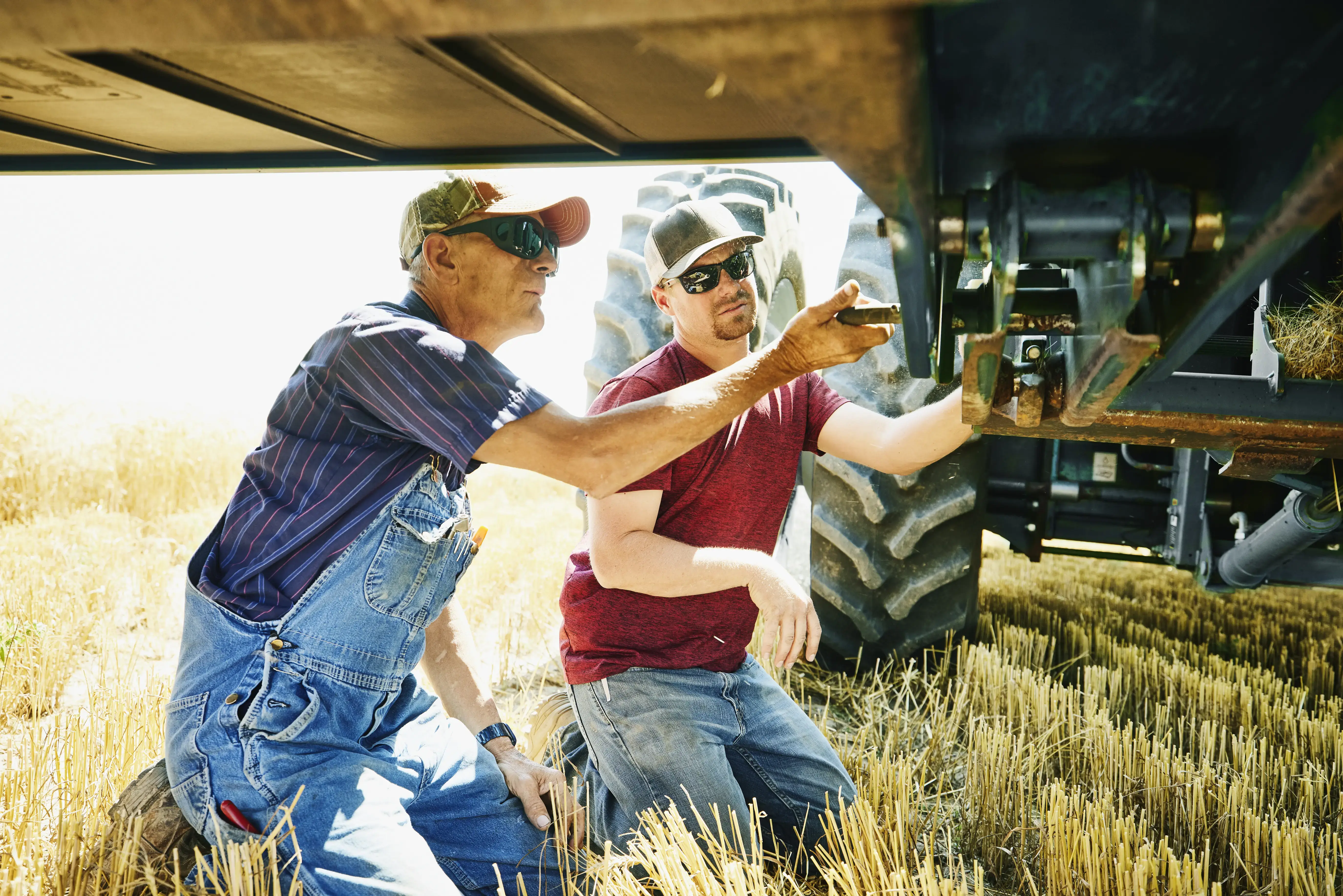 Medium wide shot of farmers working on combine header in wheat field during harvest