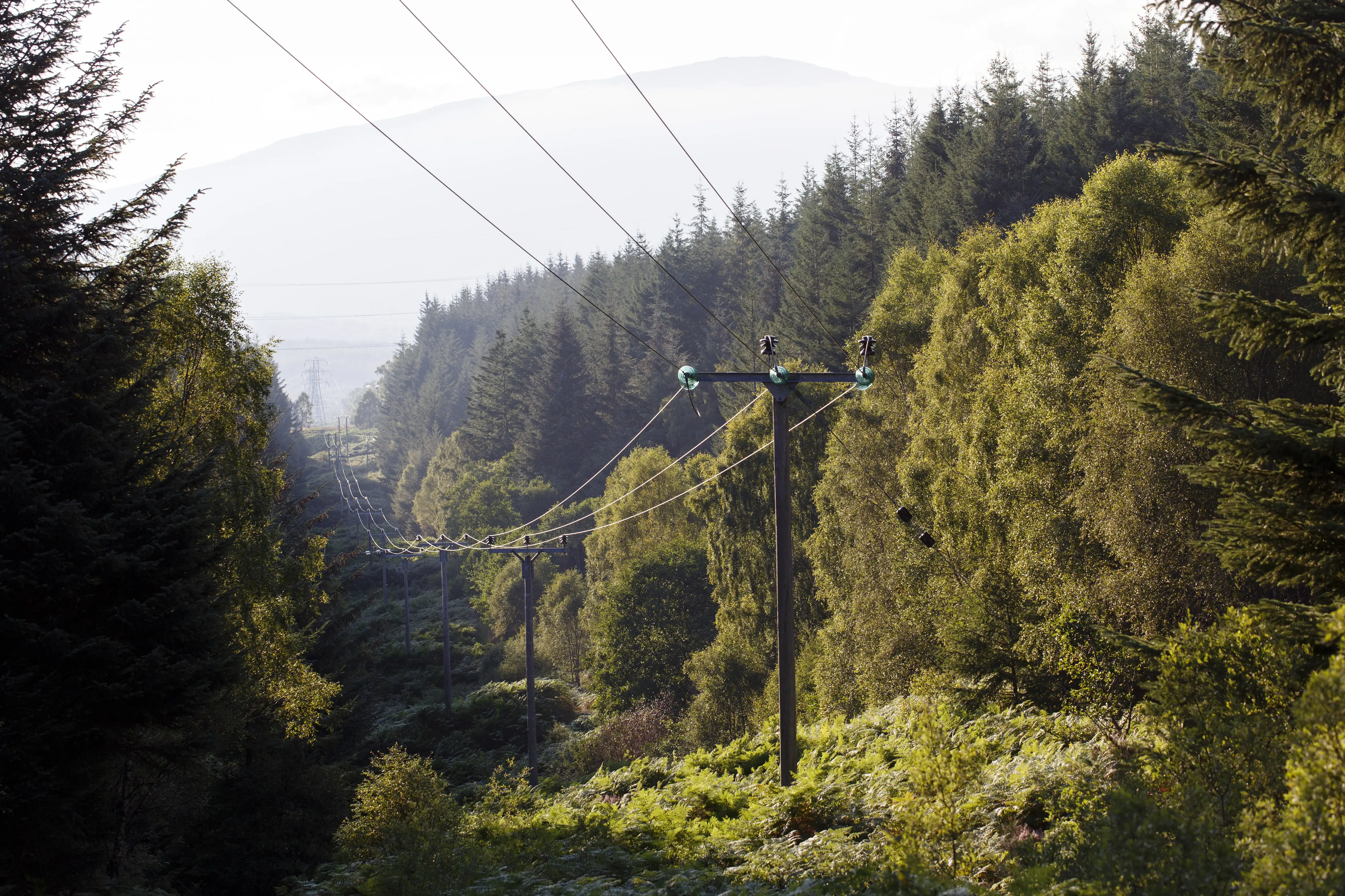 Power lines